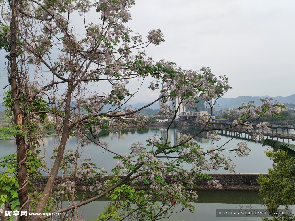 湖畔绿树环绕的秀丽风光