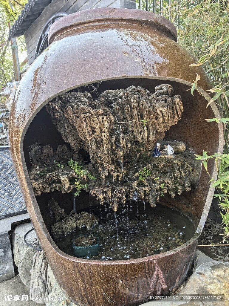 陶罐中生长的绿植景观