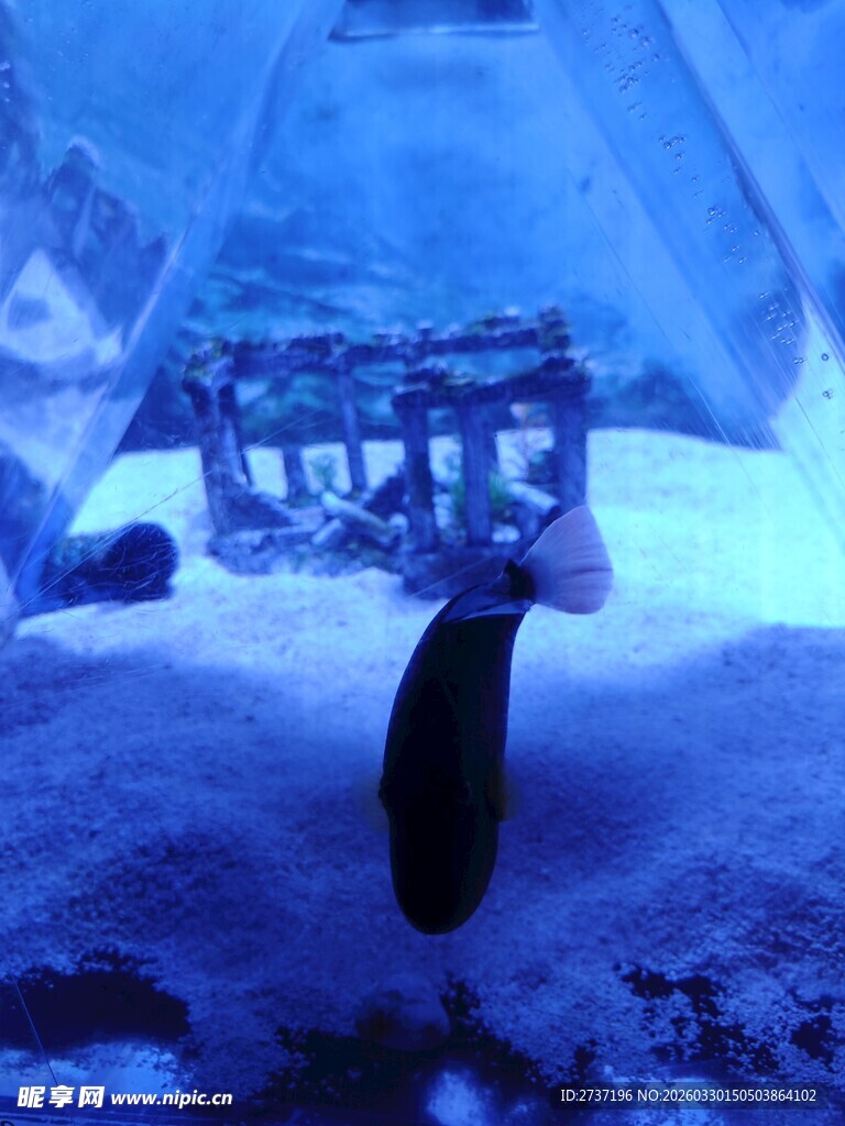 水族馆