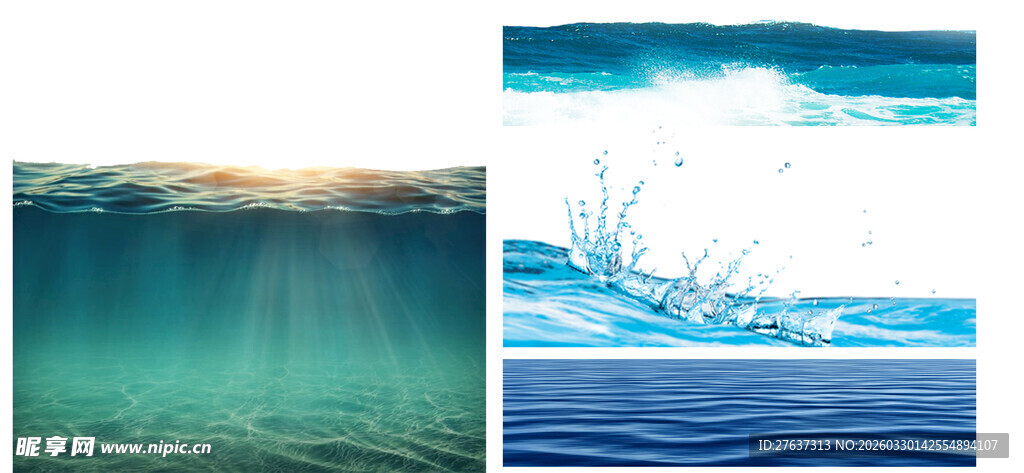 海洋水下与水面景象