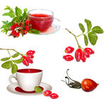 玫瑰果茶与鲜果展示