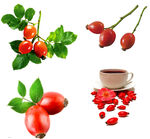 玫瑰果及其制品展示