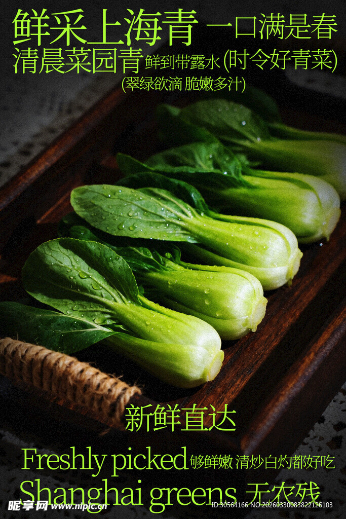 新鲜上海青食材海报