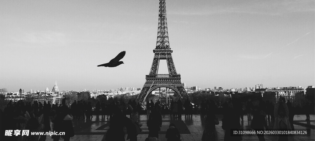 埃菲尔铁塔前人群与飞鸟