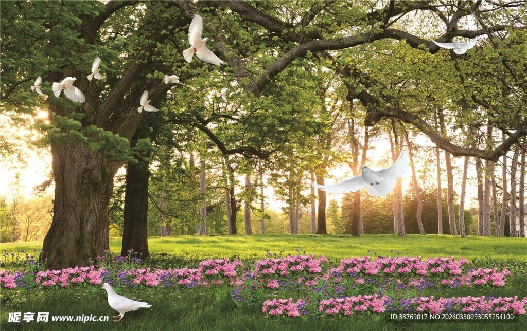 阳光照耀下的繁花古树