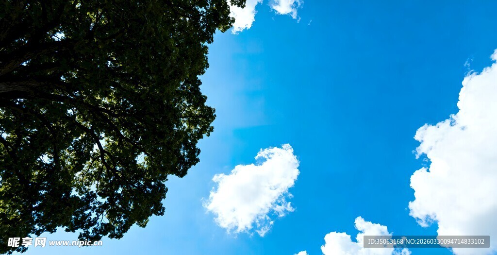 蓝天绿树间的纯净景致