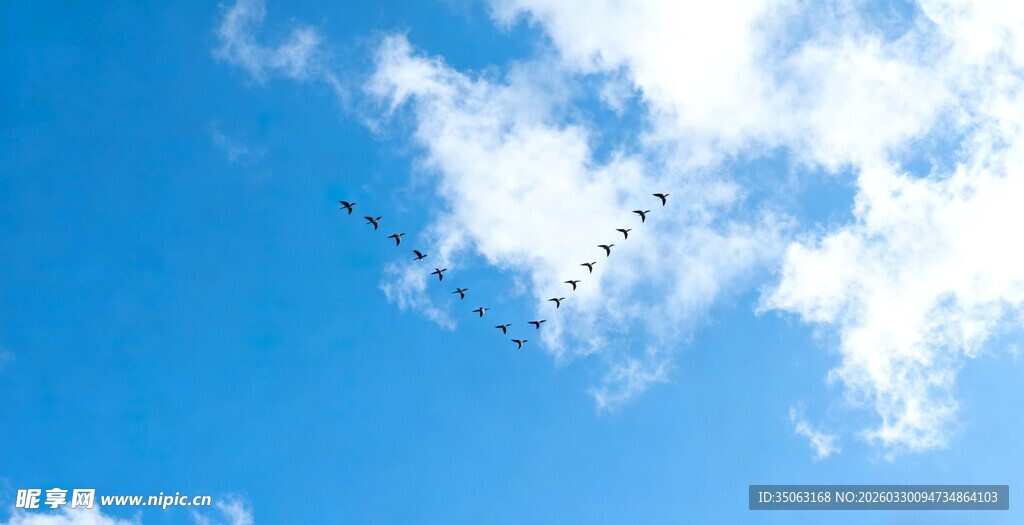 蓝天中编队飞行的飞机