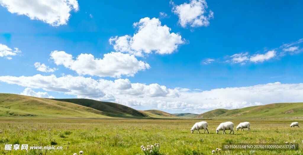 草原风光蓝天白云下的帐篷