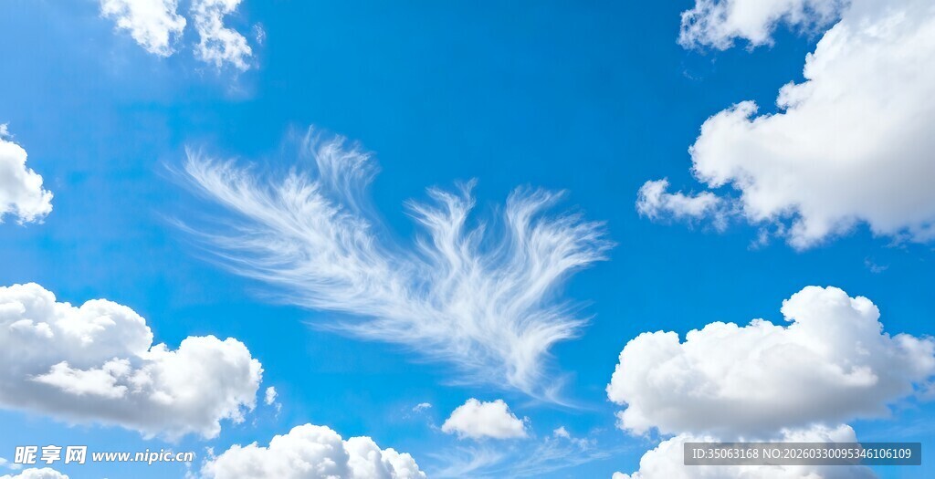 蓝天下的飘逸羽毛