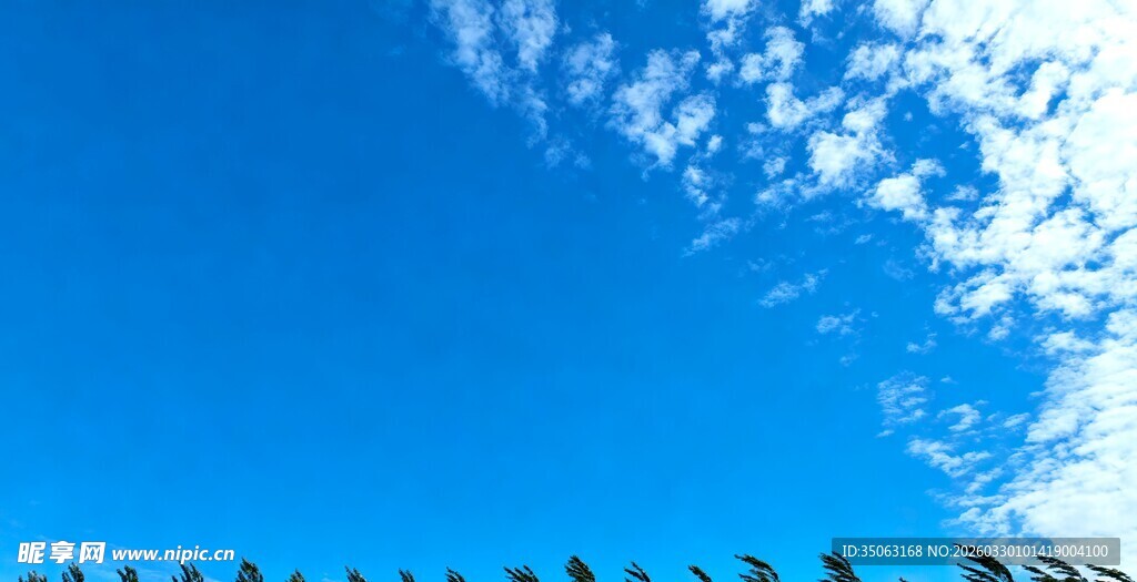 蓝天绿树美景