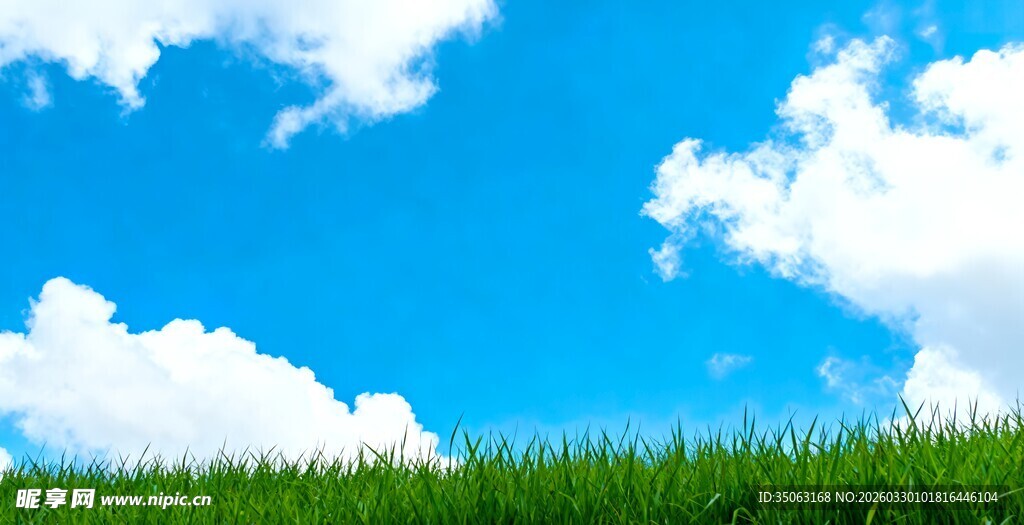 蓝天白云下的翠绿草地