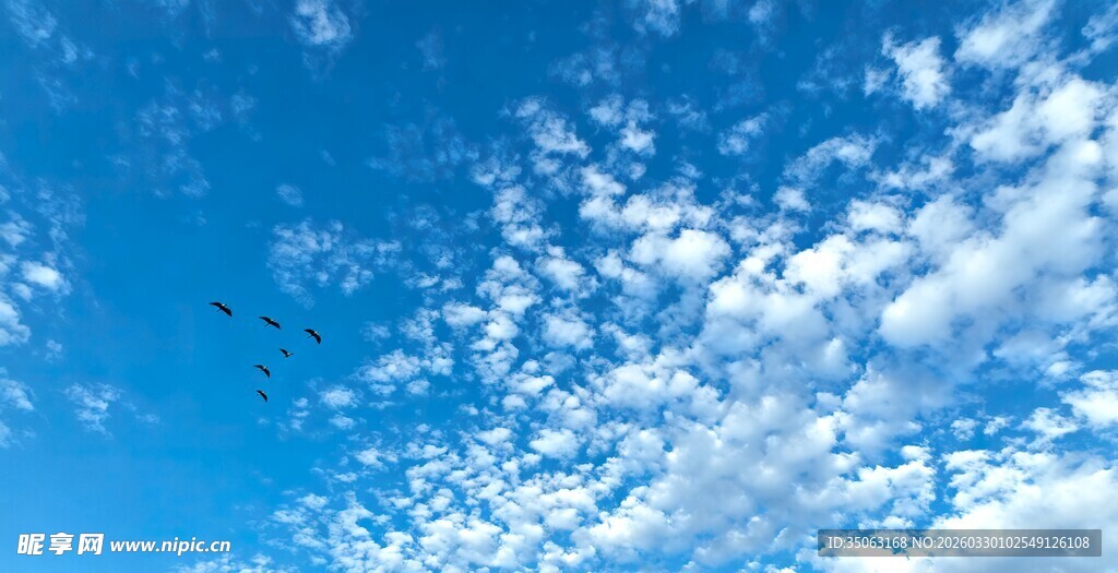 蓝天白云美景