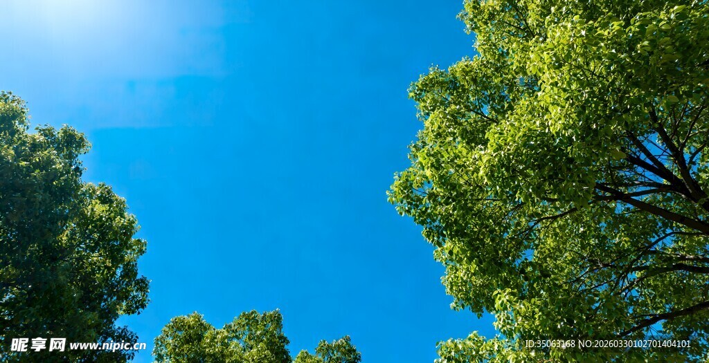 蓝天绿树