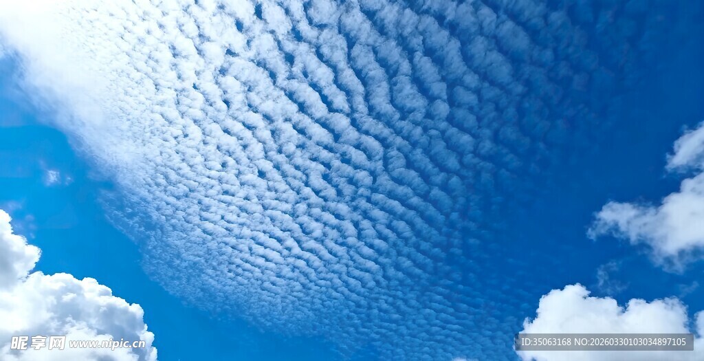 蔚蓝天空中的絮状云朵