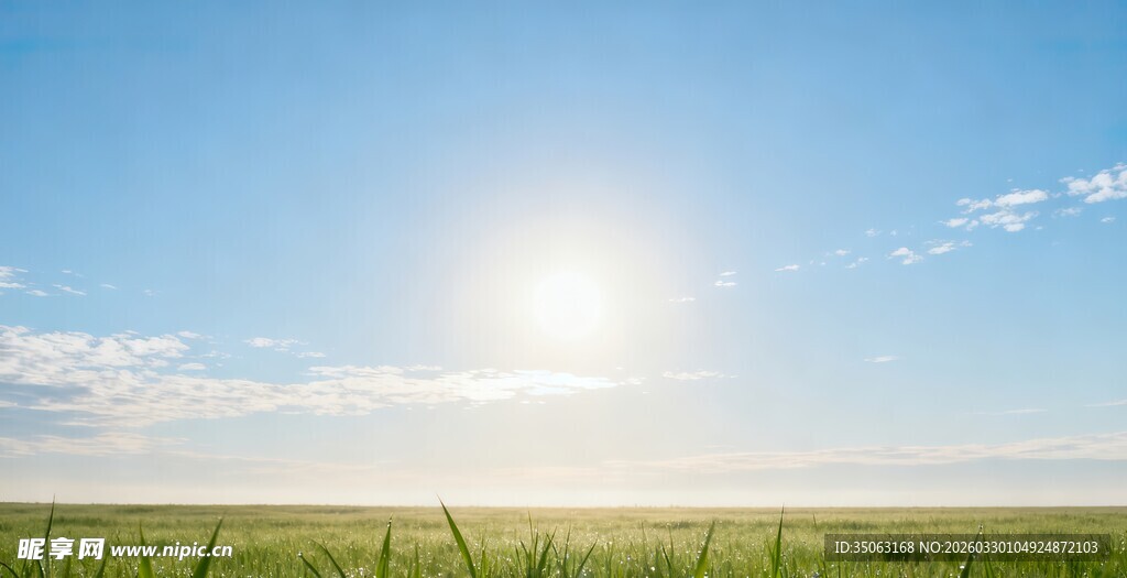 阳光照耀下的广袤草原