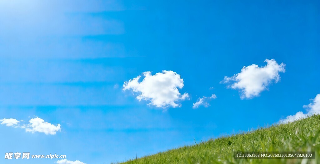 蓝天绿草间的清新景致