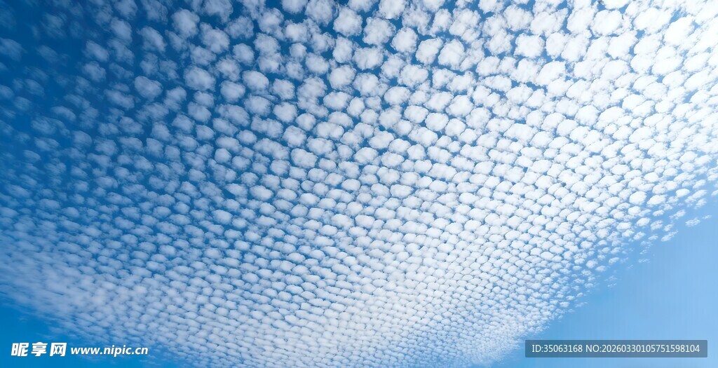 蓝色背景下的气泡纹理