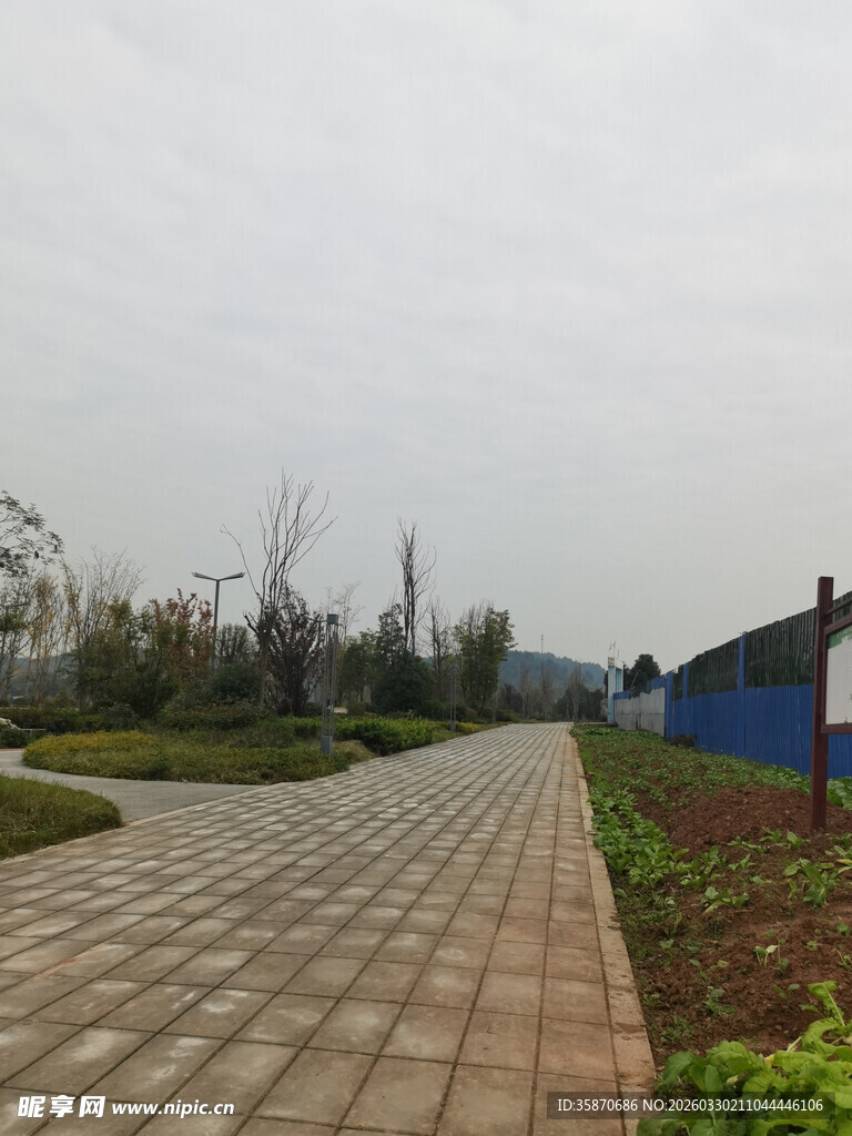 户外砖石步道旁绿植景观