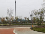 公园道路景观