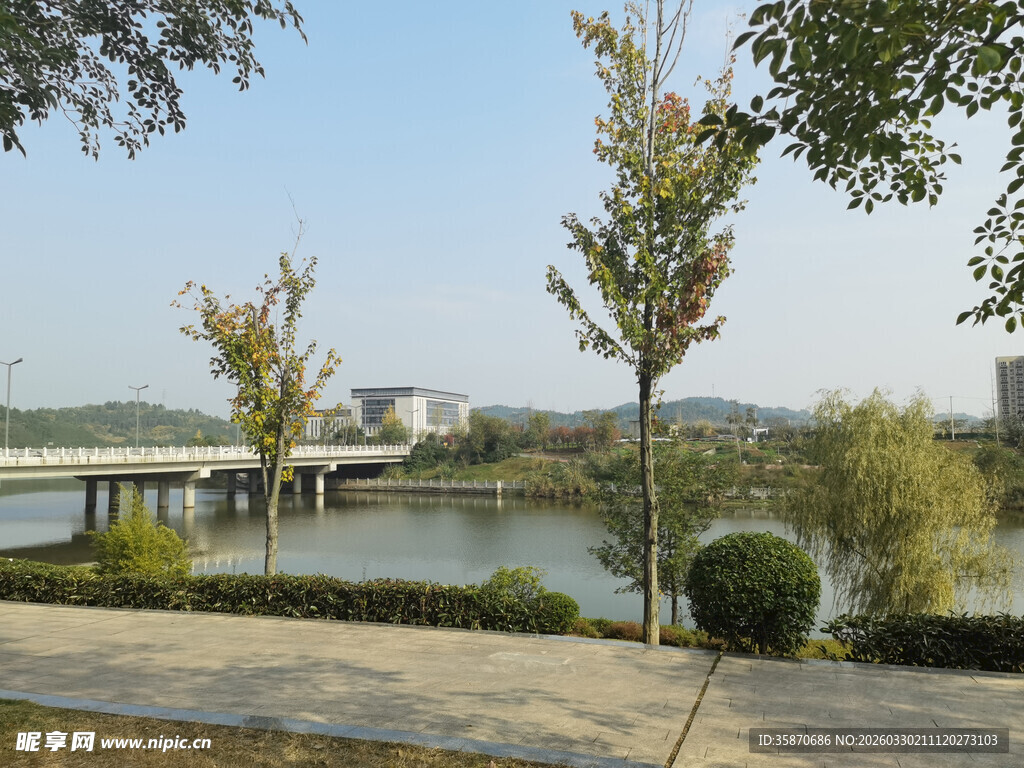 湖畔风景绿树碧水相映