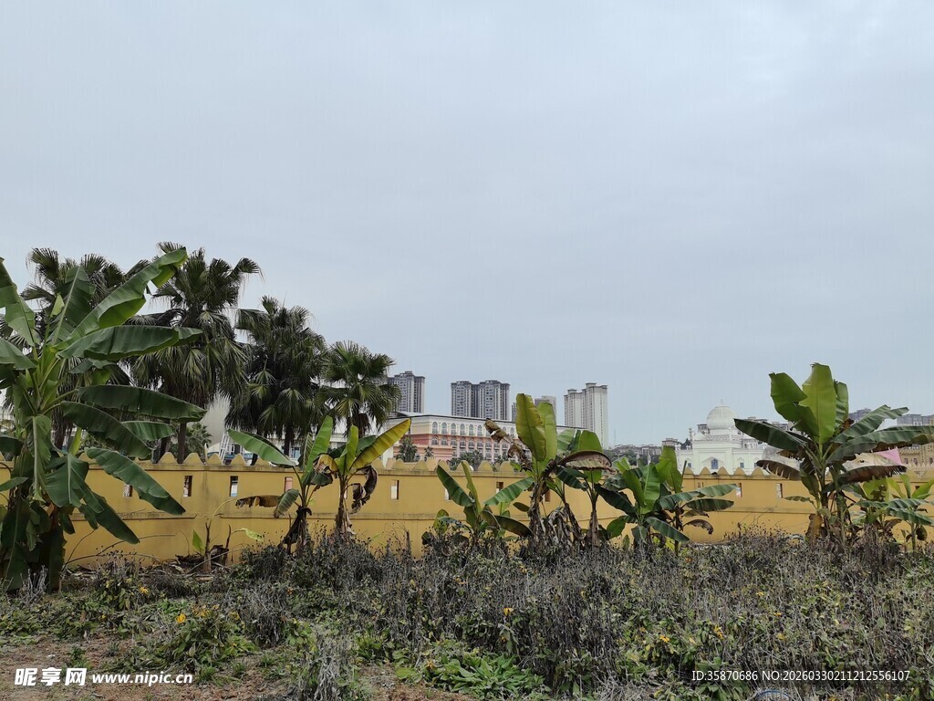 田野中的绿植与远处建筑