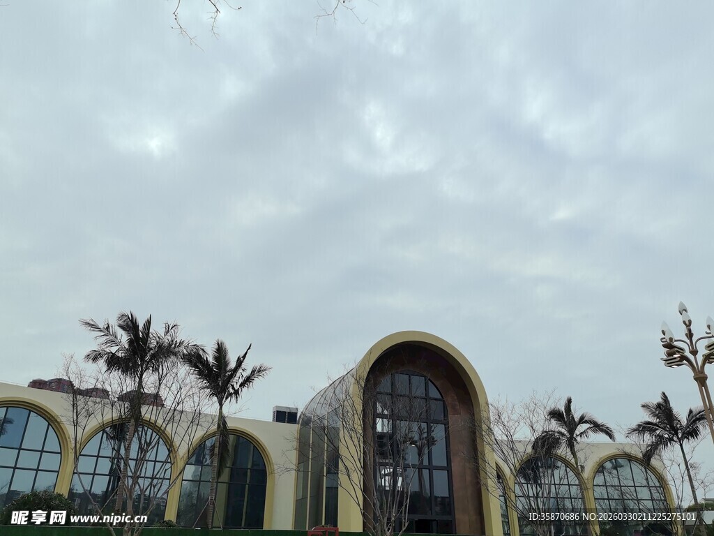 现代风格建筑与棕榈树景观