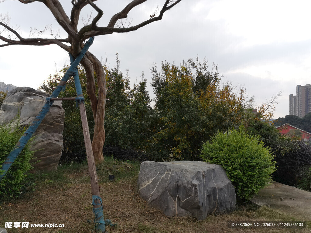 园林景观中的枯树与奇石