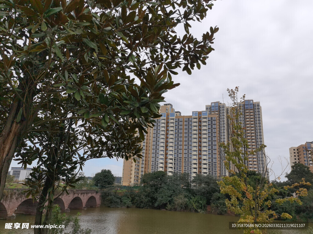 河畔高楼与葱郁树木景观