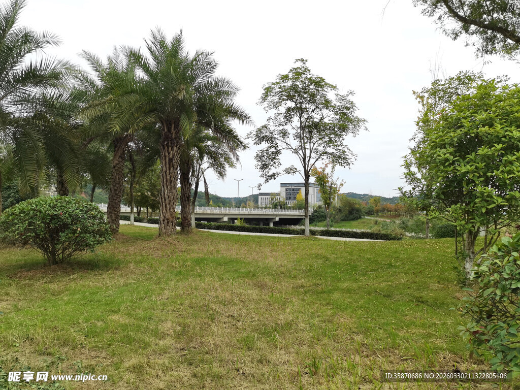 户外绿意盎然的草地景观