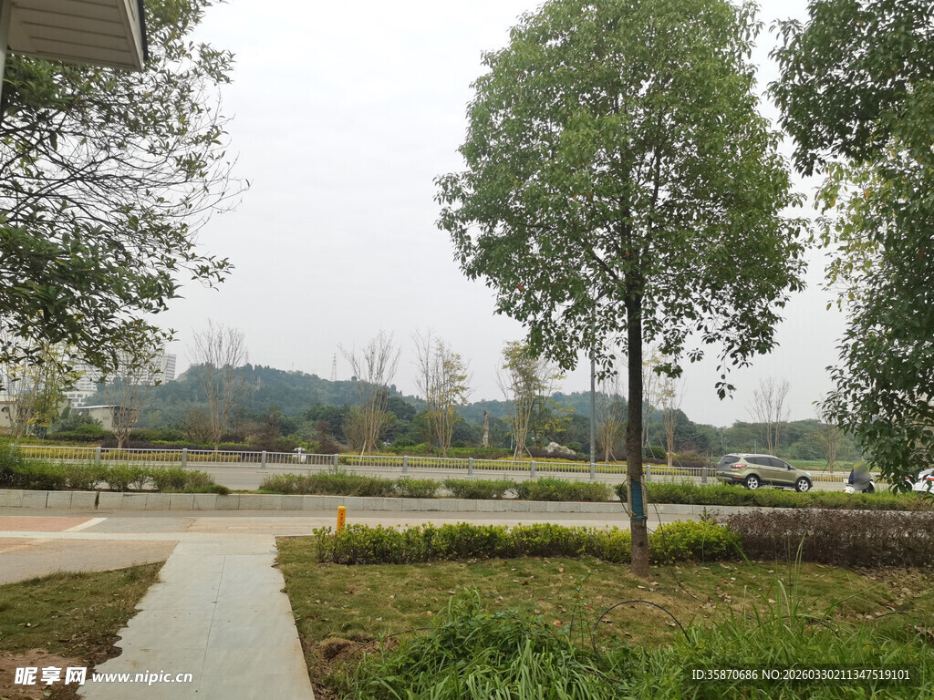 郊外宁静的绿化景观