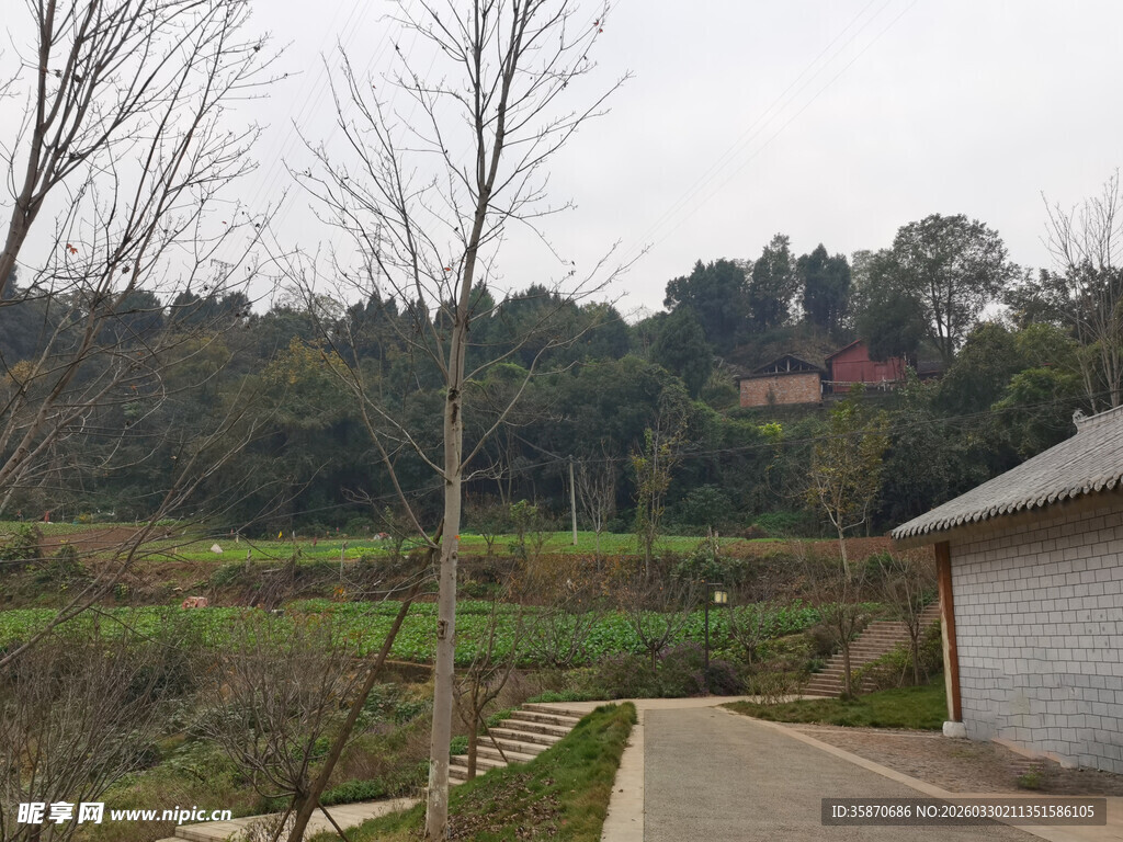 乡村田野旁的小屋与道路