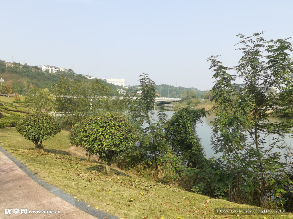 湖畔小径旁的绿植景观