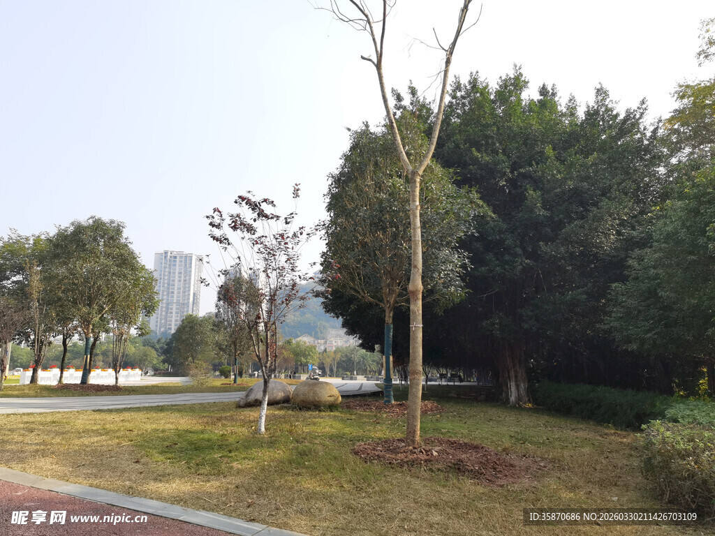 城市公园绿地景观