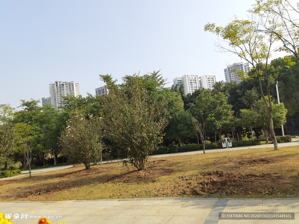 城市公园绿树成荫景致