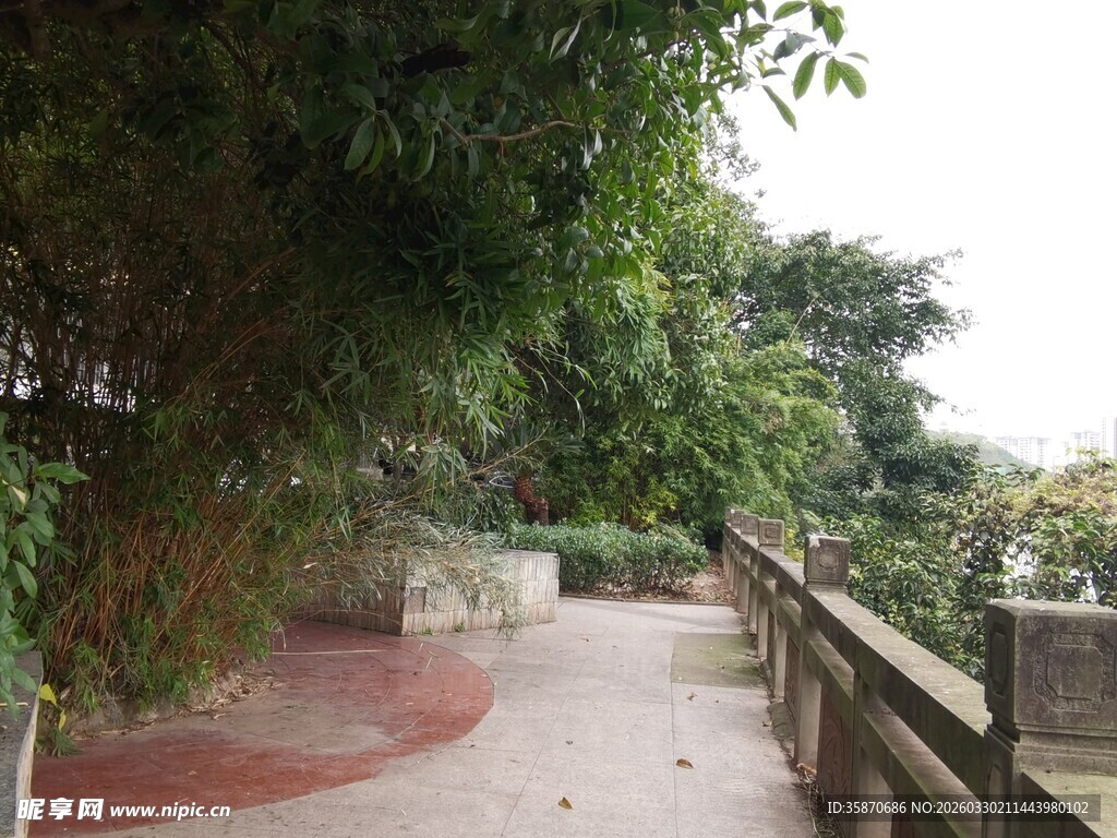 林间小道静谧自然风景