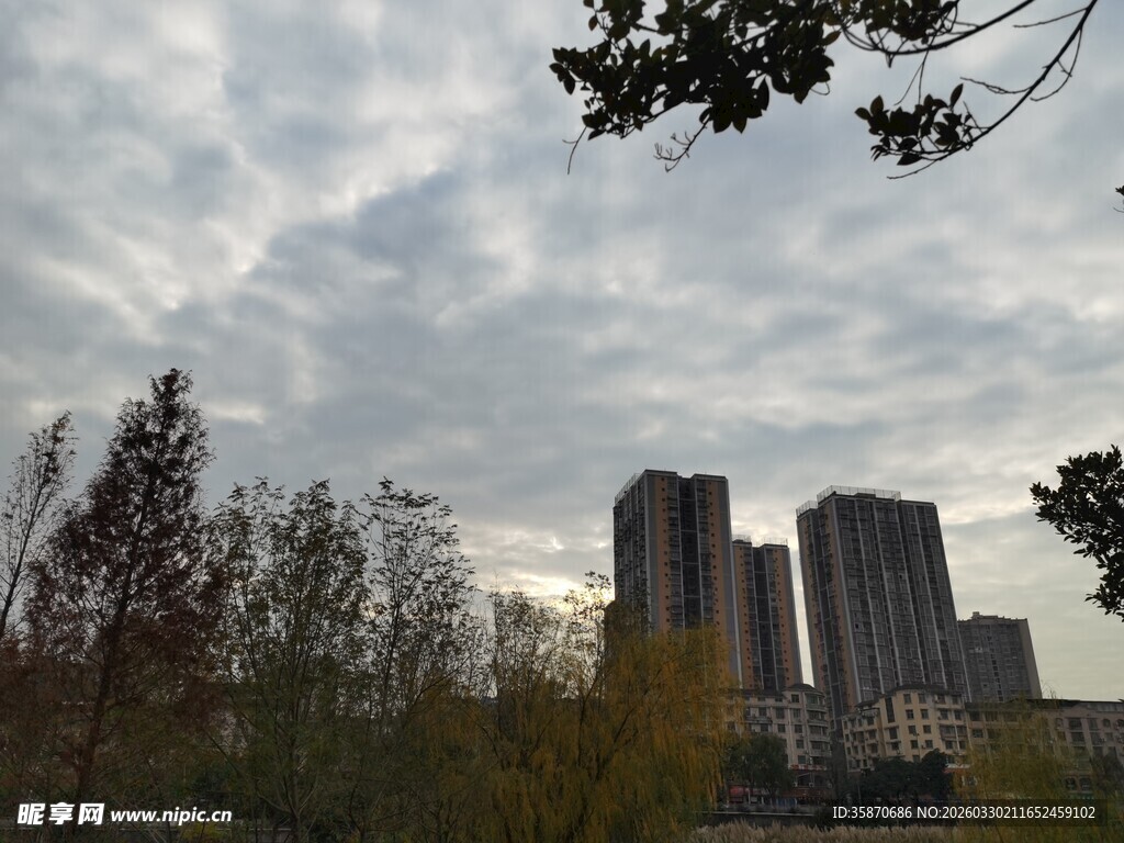 城市秋景中的高楼与树木