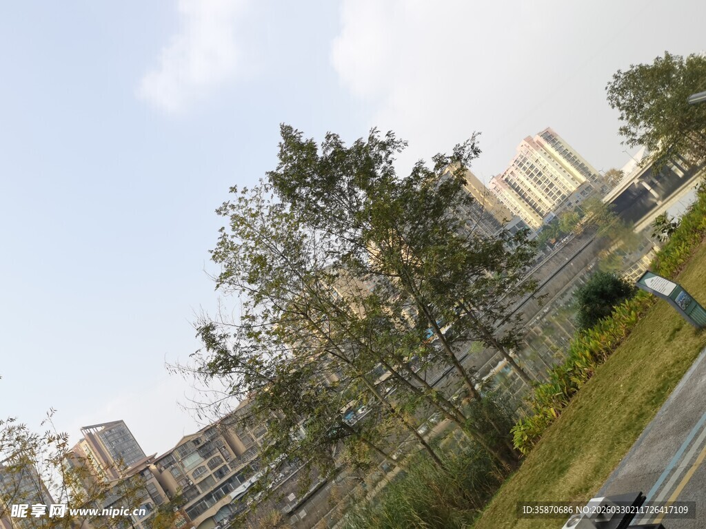 城市道路旁的绿树与建筑