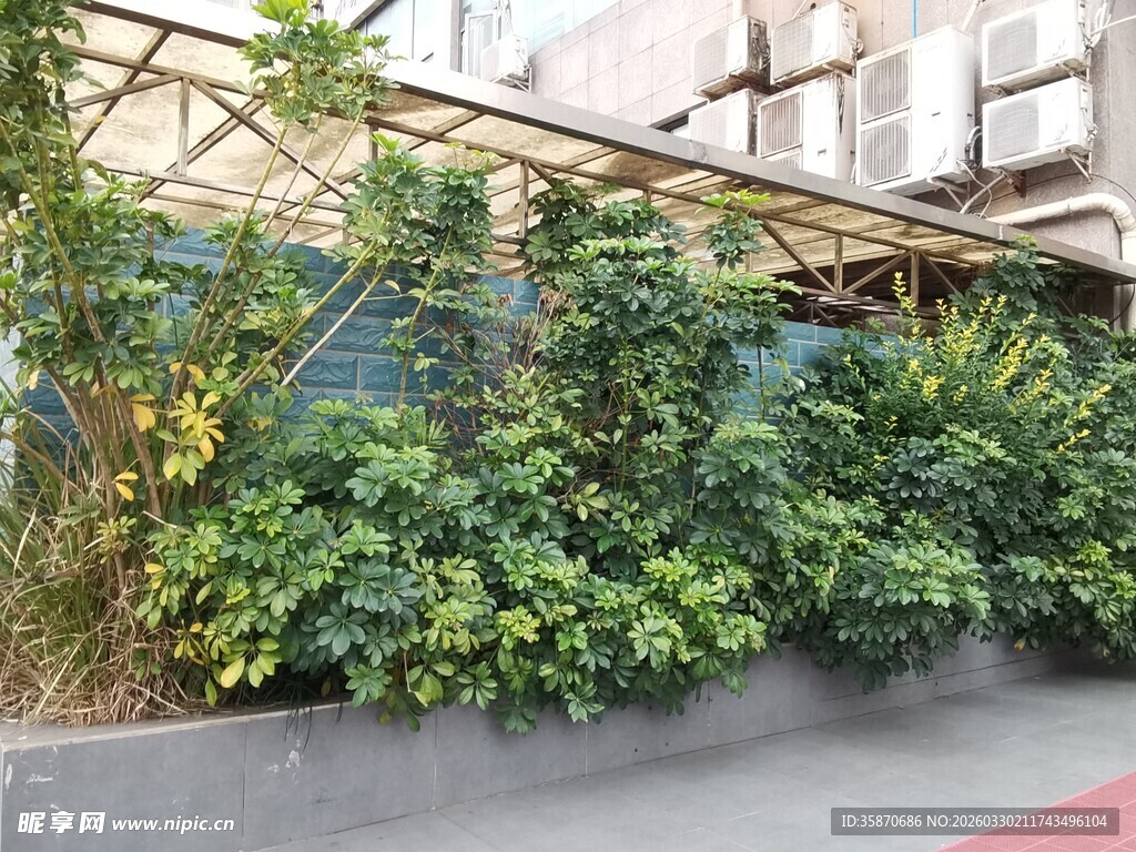 户外绿植景观