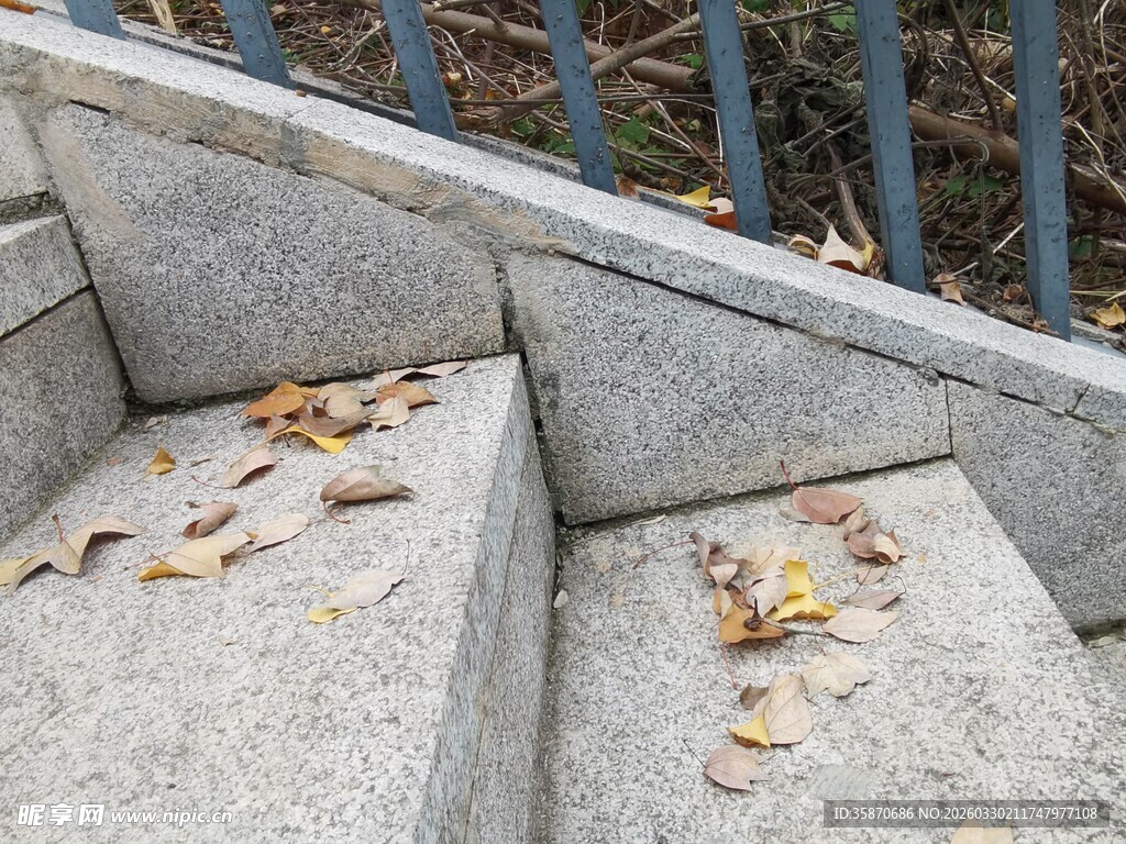 石阶上的秋日落叶