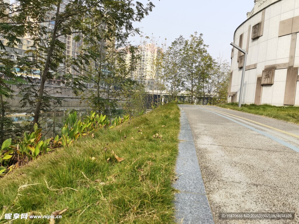 小区内整洁的道路与绿植