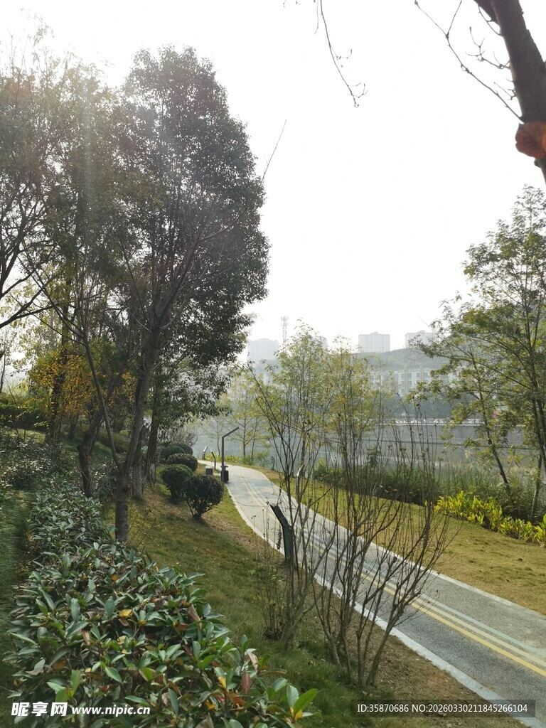 城市中的宁静林荫小路