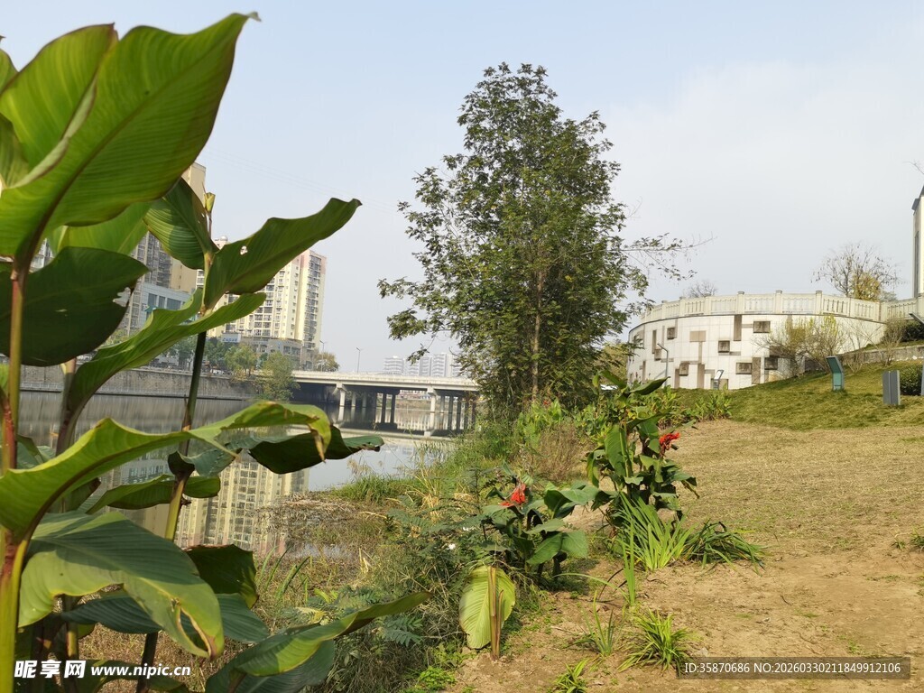 户外绿植与远处建筑景观