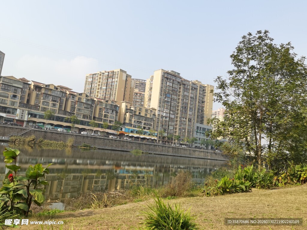 河畔城市景观绿树相伴