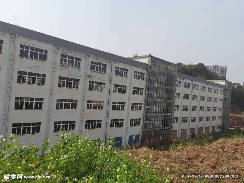 多层白色厂房建筑外观