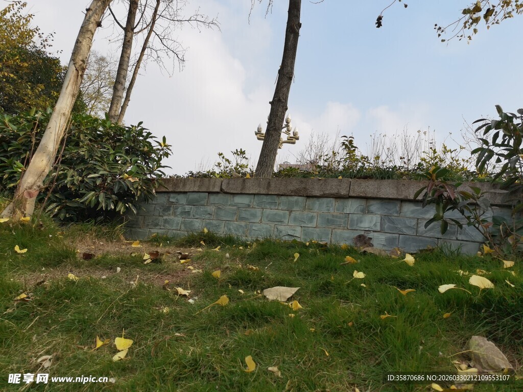 户外自然水景与绿植景观