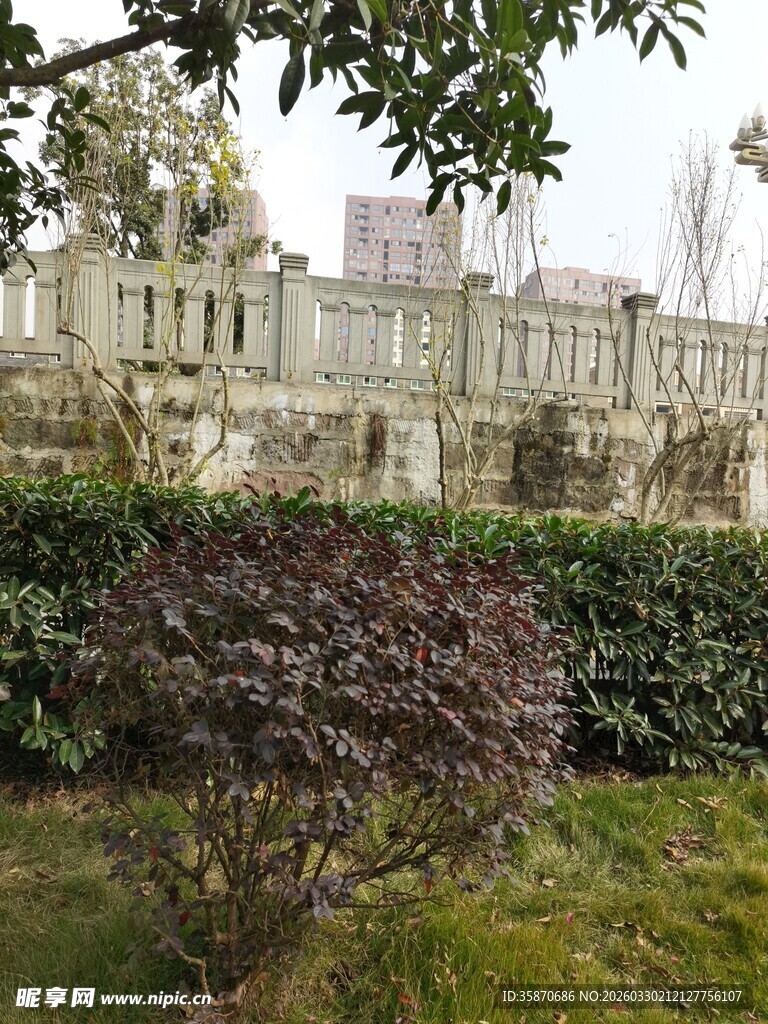 园林景致中的绿植与建筑