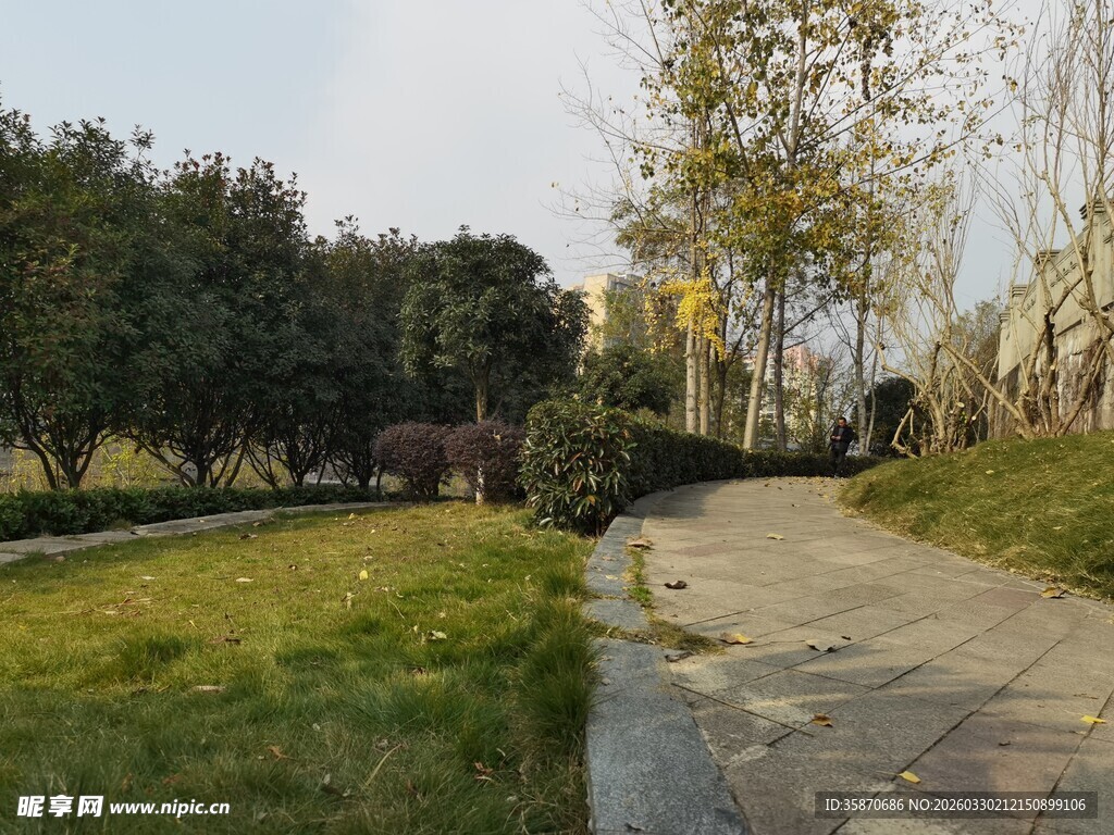 公园中的幽静小路