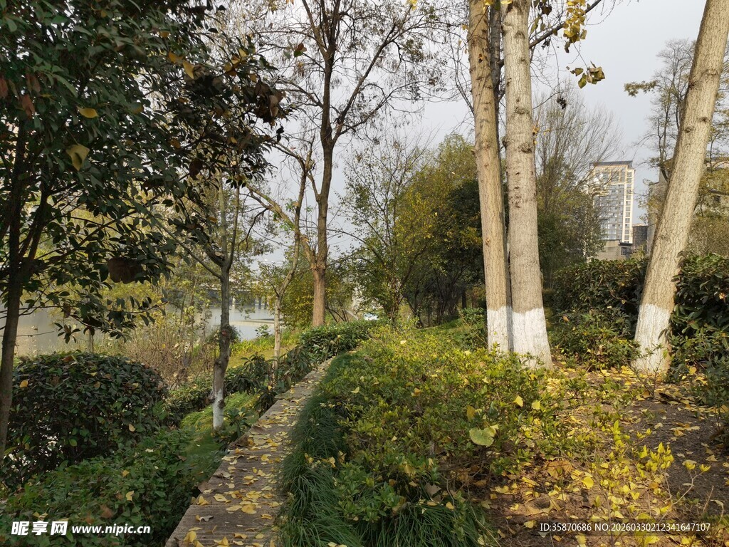 秋日林间小径风景