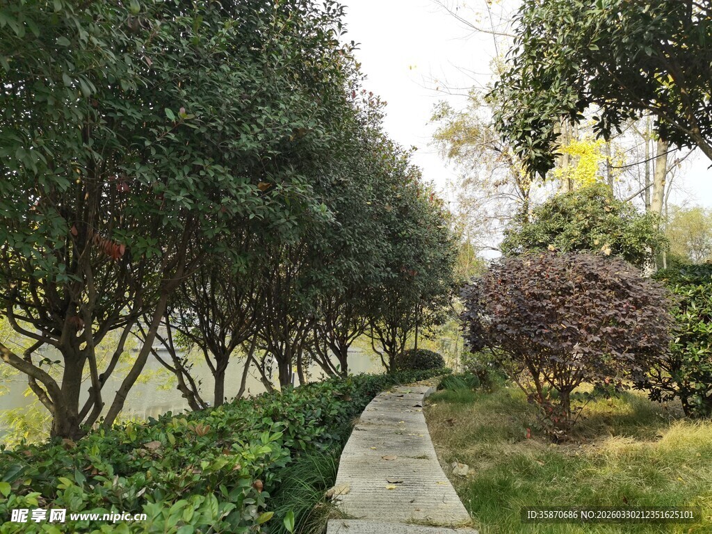 林间小径尽显自然清幽