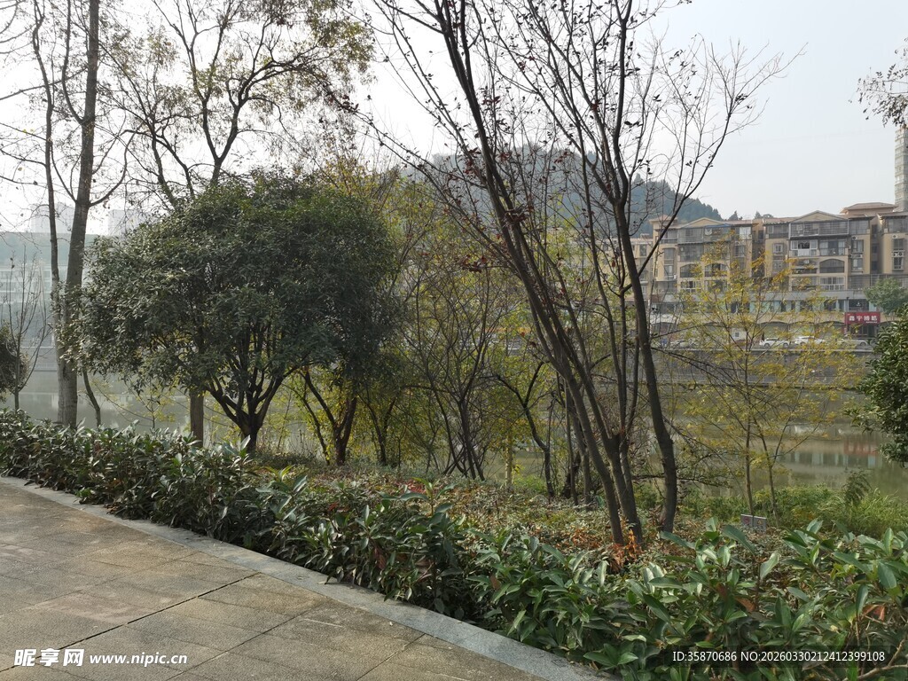 城郊小路旁的绿植与远景